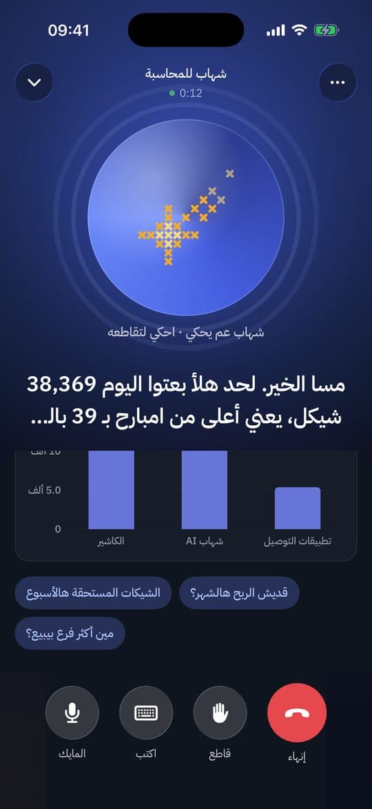 احكي مع شهاب: محادثة صوتية عن الحسابات مع رسم للمبيعات حسب القناة